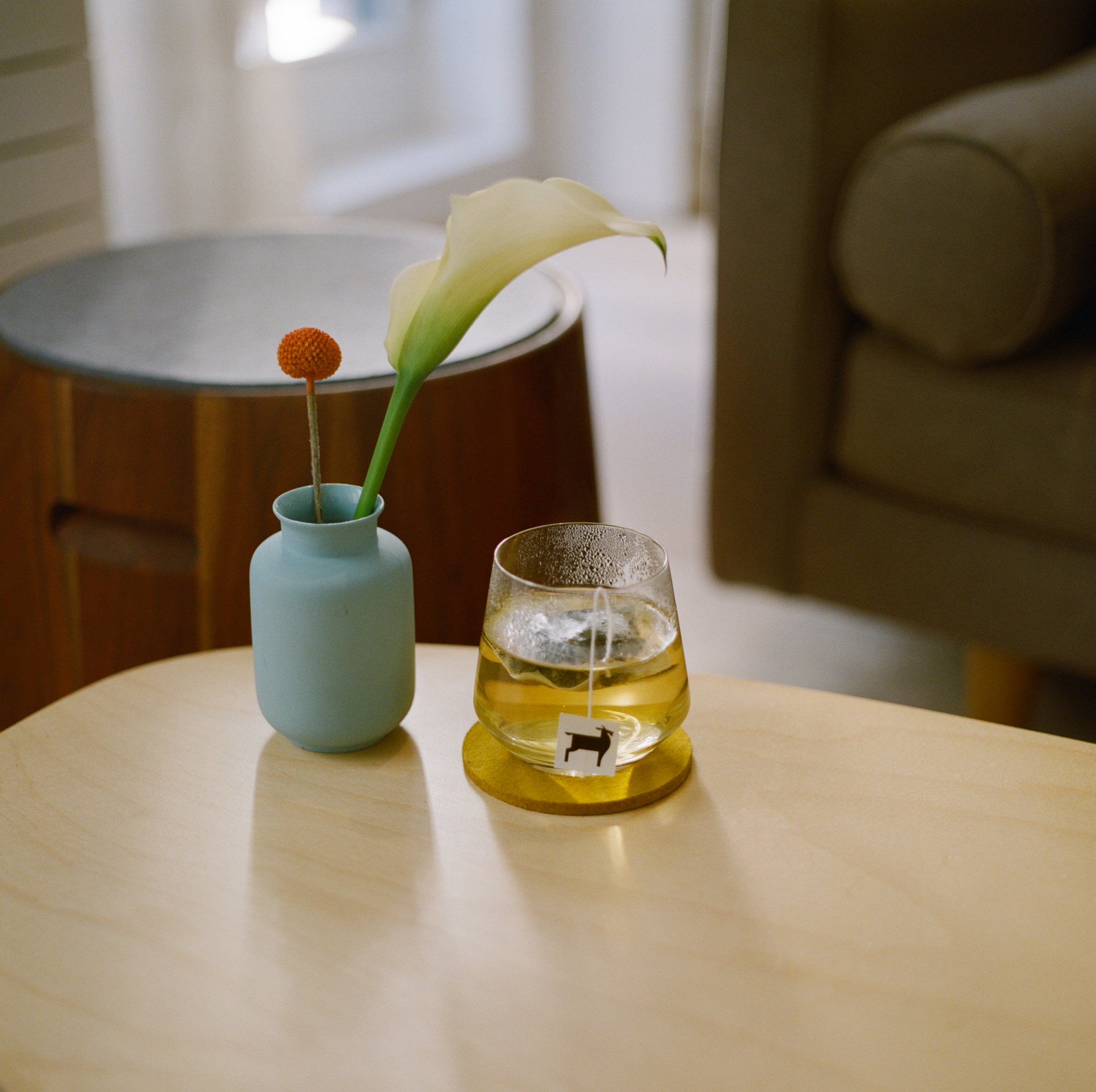 jasmine_green_bushwick_tea_angle1.jpg