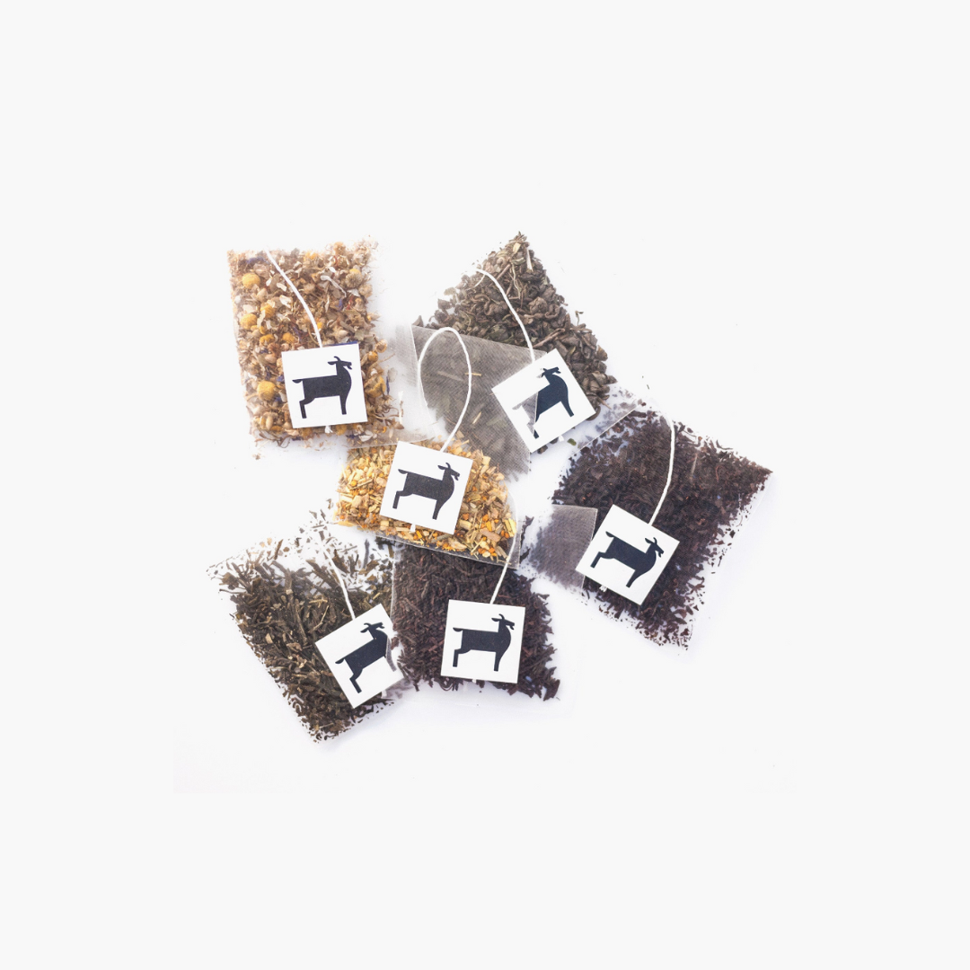 Untitled_design_16.png