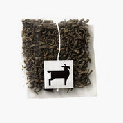 Jasmine Green Tea Sachets